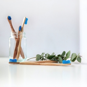 Bamboo Toothbrushes