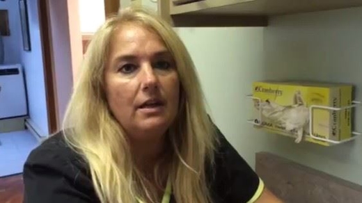 Importance of Adult Sealants